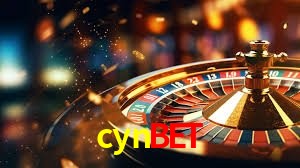 Sistemas de Segurança cynbet